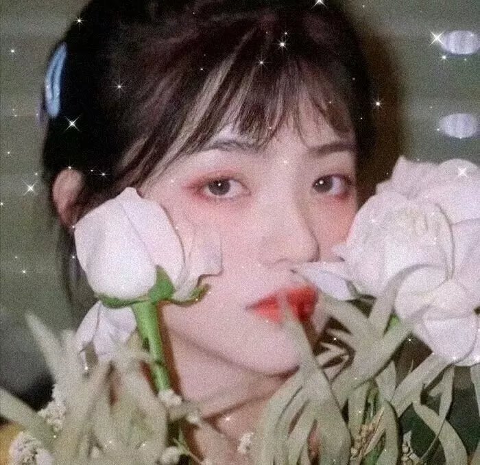 我的狗子